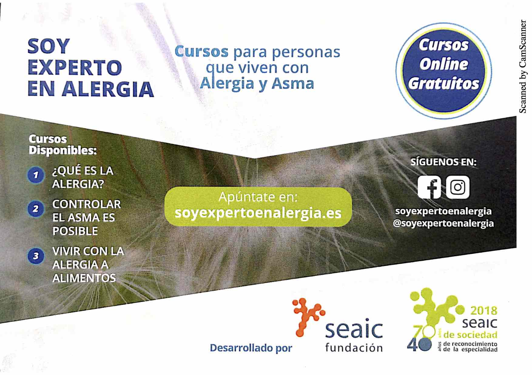 Programa ALEXPERTO SEAIC (soyexpertoenalergia.es)